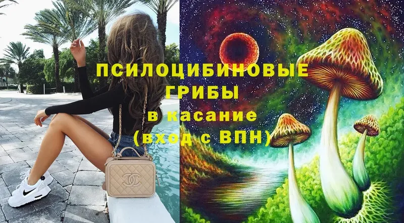 Галлюциногенные грибы Magic Shrooms  купить наркотики цена  Приморско-Ахтарск 